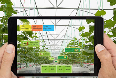 Intelligent greenhouse control system