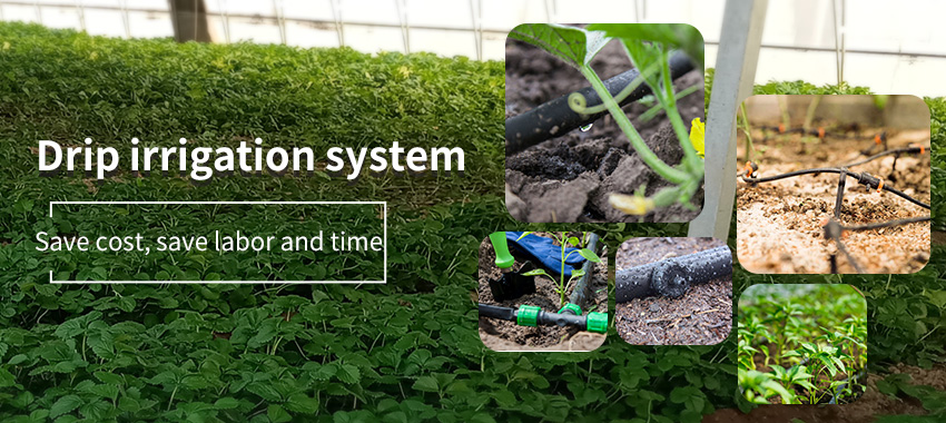 automatic irrigation  System