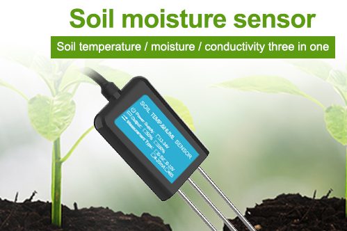 soil moisture probe