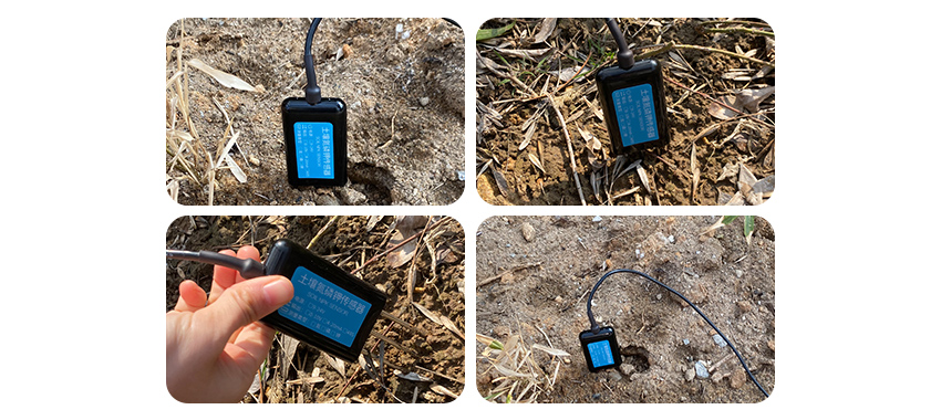 Soil pH Sensor